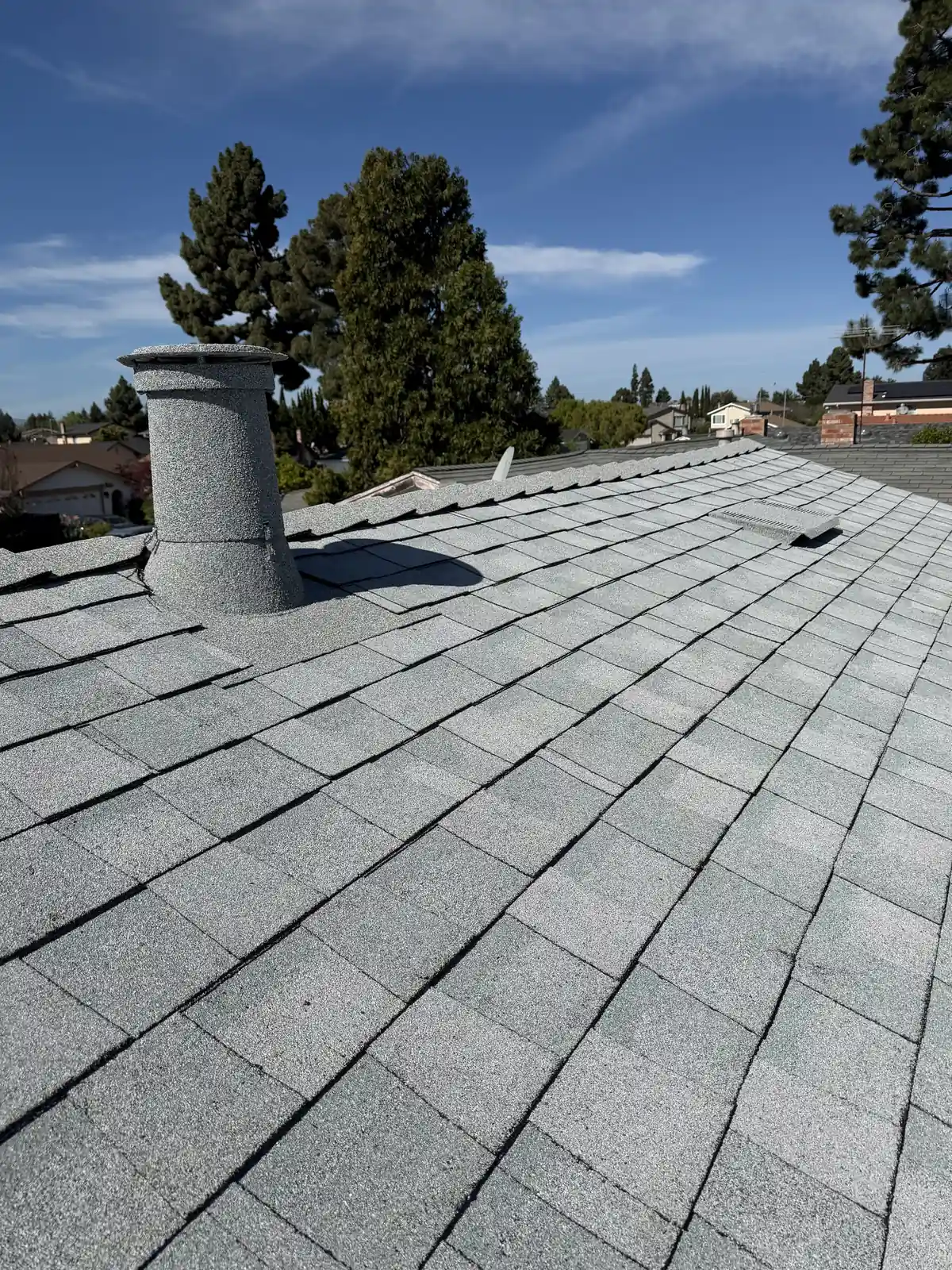 Stone-coated pipe sleeve on light gray shingles with tall pines behind